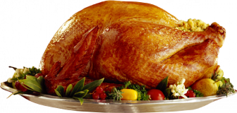 thanksgiving turkey